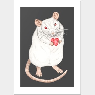 Albino Rat with Heart Posters and Art